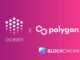 Ocean Protocol Partners With Polygon Network for Lower Gas Fees