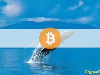 Bitcoin Accumulation Accelerates as Whales Buy 0.29% of BTC's Total Supply in a Week: Analysis
