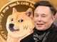 Elon Musk Calls Binance's Dogecoin Problem 'Shady' — Says He's Raising the Issue 'on Behalf of Other DOGE Holders'