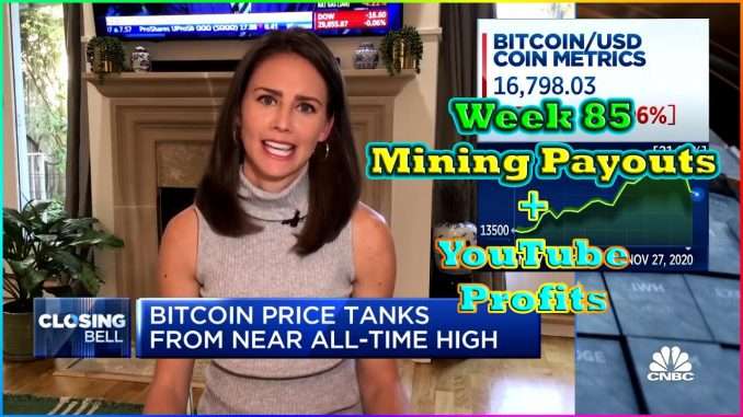 Week 85 | Mining Payouts 11/29/20