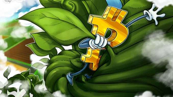 Bitcoin 'Santa rally' pauses at $51.5K as funds bet on Bitcoin 'Santa rally' pauses at $51.5K as funds bet on a sub-$60K BTC price for January 2022