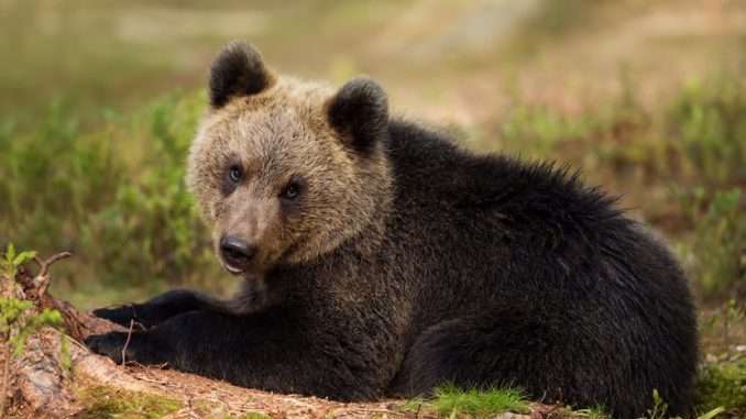 Crypto market decidedly bearish, Tesla tumbles Crypto market decidedly bearish, Tesla tumbles