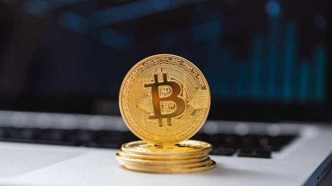Third-largest Bitcoin whale buys additional 2700 coins at $50K Ammous Bitcoin price prediction