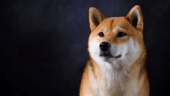 Whale Buys 28 Billion SHIB for $1.2 Million as Price Whale Buys 28 Billion SHIB for $1.2 Million as Price Stalls