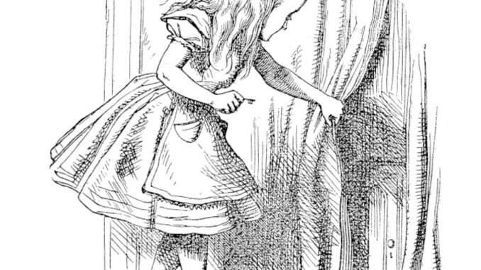 Wonderland's (and DeFi's) Anonymity Problem Wonderland's (and DeFi's) Anonymity Problem