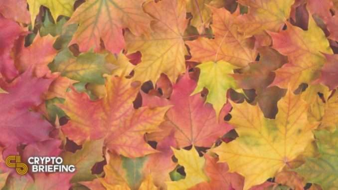 Maple Finance Onboards Celsius as First CeFi Lender Maple Finance Onboards Celsius as First CeFi Lender