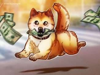 Newbie Shiba Inu bites back, gains 25% vs. Dogecoin in February