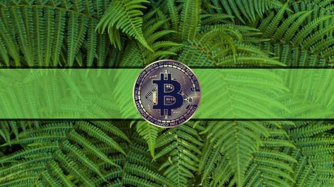 Bitcoin Stable at $40K, FOMC Meeting, and APE Airdrop: This Week's Crypto Recap
