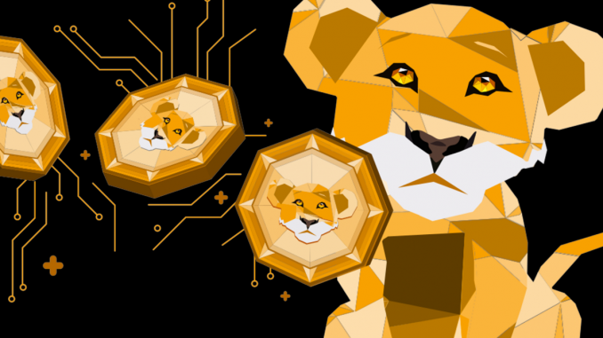 Defi 2.0 meets yield optimization on the polygon network DeFi 2.0 Meets Yield Optimization with PolyCub