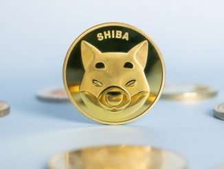 The Number of SHIB Holders Shudders in 3 Days, Shiba Inu Slid 17% in Value Last Month