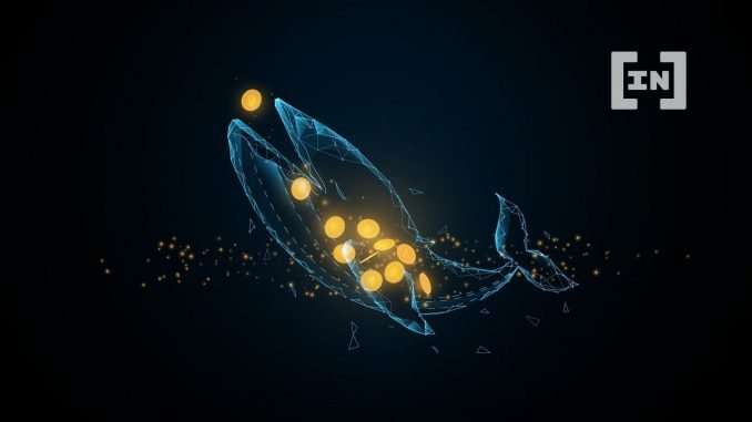 Whale Ahoy! Bitcoin Wallet Activated After 11 Years Whale Ahoy! Bitcoin Wallet Activated After 11 Years