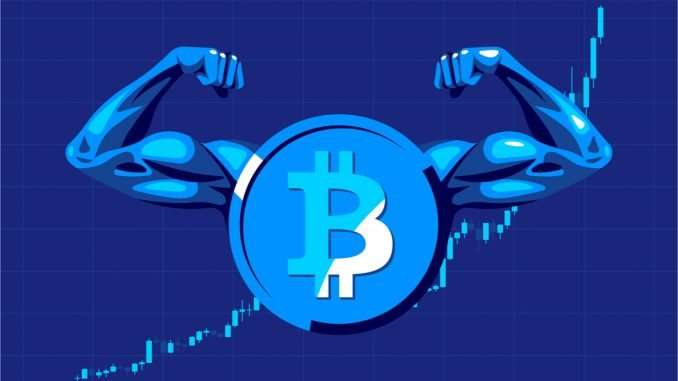 As Bitcoin’s Hashrate Remains Elevated, BTC’s Mining Difficulty Expected to As Bitcoin’s Hashrate Remains Elevated, BTC’s Mining Difficulty Expected to Reach a Lifetime High