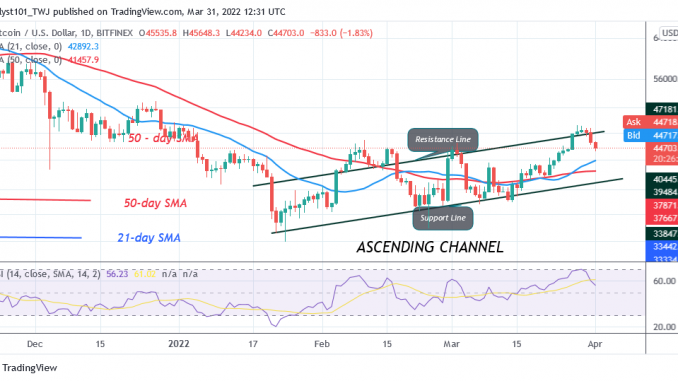 Bitcoin (BTC) Price Prediction: BTC/USD Reaches Oversold Region as Bitcoin Holds Above $44K