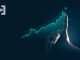 Liquid Staking: Earn Passive Income in Decentralized Finance