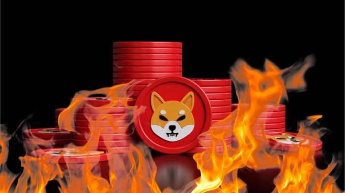 Shiba Inu's New Burn Portal Rewards SHIB Burners for Destroying Shiba Inu's New Burn Portal Rewards SHIB Burners for Destroying Their Tokens