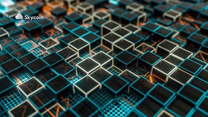 Skycoin Founder Predicts Future of Blockchain and the Internet Skycoin Founder Predicts Future of Blockchain and the Internet