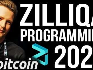 ZILLIQA PROGRAMMING (Very Easy), Must Try, From Zero, Scilla Part 1 - Programmer explains