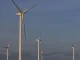 Crypto Carbon Trading Is Racing to Clean Up Its Act; Cryptos Drop Even as Stocks Rise