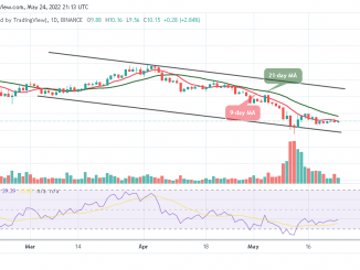 Polkadot Price Prediction