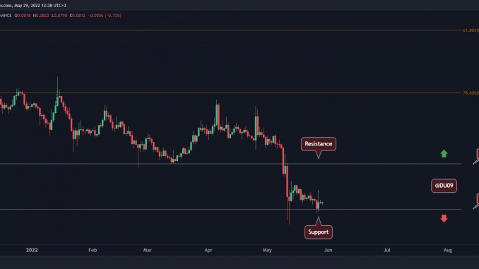 Despite Elon Musk's Recent Tweets, DOGE At Critical Support Despite Elon Musk's Recent Tweets, DOGE At Critical Support