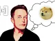 Elon Musk Shares Investment Tips with his Followers on Twitter