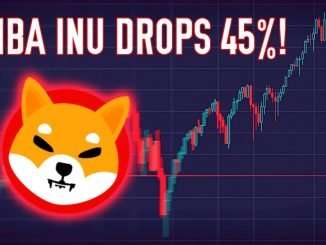 Shiba Inu Dumps 45% In 8 Days | Here's What You Need To Know
