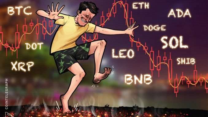 BTC, ETH, BNB, ADA, XRP, SOL, DOGE, DOT, LEO, SHIB BTC, ETH, BNB, ADA, XRP, SOL, DOGE, DOT, LEO, SHIB