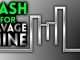 HASH FOR SAVAGEMINE!