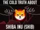 Shiba Inu (SHIB) | The Cold Truth Behind The Hype