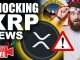 Top Crypto Experts Reveal Shocking XRP Lawsuit NEWS (Why Nations are Turning To Crypto)