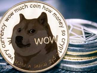 Should you buy DOGE at the current $0.06 retracement?