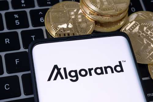 Algorand risks fresh new bottom as weakness persists after a Algorand risks fresh new bottom as weakness persists after a failed breakout