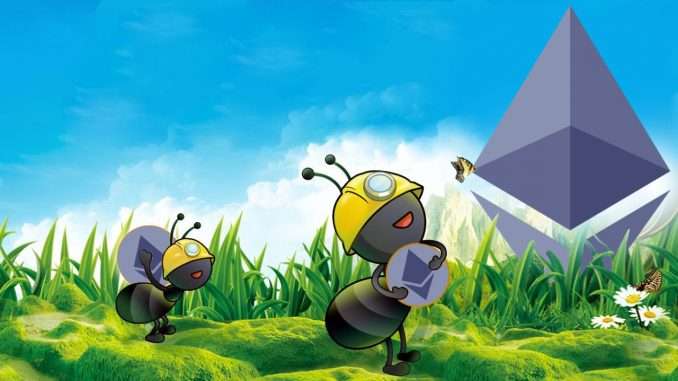 Antpool Reveals Plans to Drop Ethereum Ethash Support, Plans to Antpool Reveals Plans to Drop Ethereum Ethash Support, Plans to Keep Mining ETC