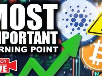Bitcoin & Crypto's Most Important Turning Point (Cardano MASSIVELY Undervalued)