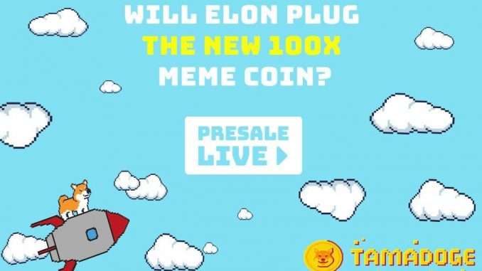 Tamadoge Beta Sale Sells Out Due to High Demand – Tamadoge Beta Sale Sells Out Due to High Demand – The Next Meme Coin to Explode?