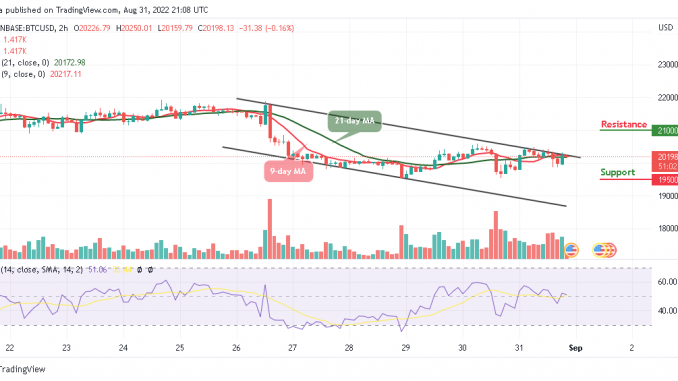BTC Reclaims $20K; TAMA to Experience Inevitable Growth BTC Reclaims $20K; TAMA to Experience Inevitable Growth