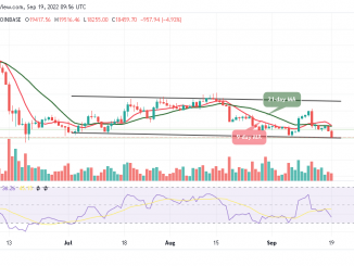 BTC Slumps Below $19,000; TAMA is now sold out!