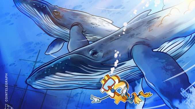 BTC price nears $21.7K as whales boost Bitcoin 'almost perfectly' BTC price nears $21.7K as whales boost Bitcoin 'almost perfectly'