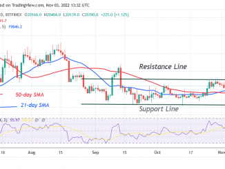 Bitcoin Price Prediction for Today, November 3: BTC Price Slides Downward with a Potential Drop to $19.8K