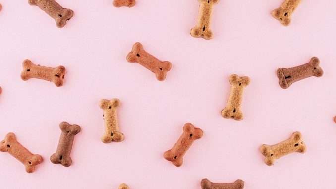 Dogecoin Led the Pack Among Cryptocurrencies in October With 17 Dogecoin Led the Pack Among Cryptocurrencies in October With 17 Times Bitcoin's Gains