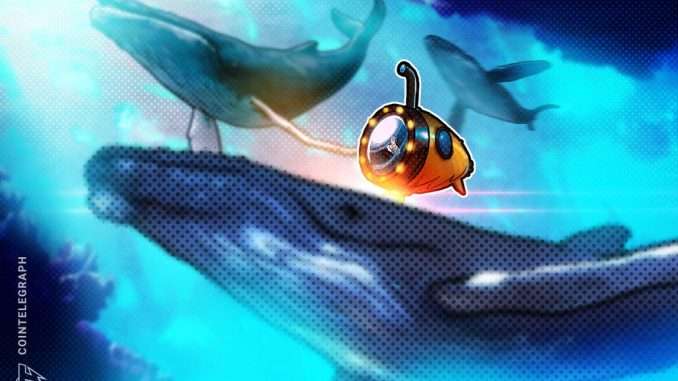 What are crypto whale trackers and how do they work? What are crypto whale trackers and how do they work?