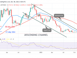 Bitcoin Price Prediction for Today, December 8: BTC Price Returns to the $17.2K Barrier
