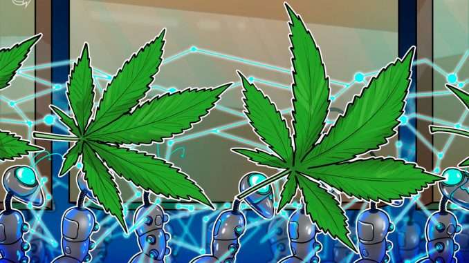 California cannabis producer adopts blockchain to track its weed