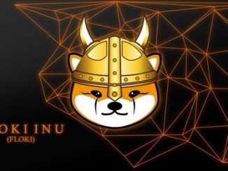 Floki announces partnership with Binance Pay