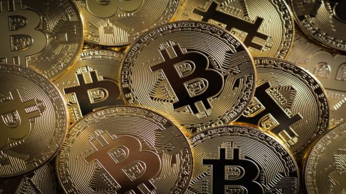 Bitcoin Millionaire Tim Draper Advises Startups to Keep Bitcoin as bitcoin tim draper