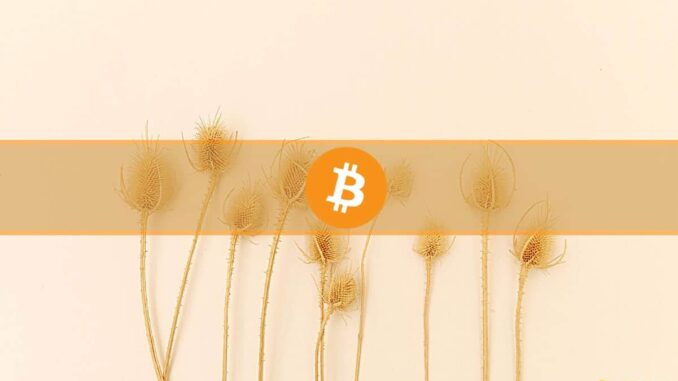 Nearly 1 Million Blockchain Addresses Now Hold Over 1 Bitcoin Nearly 1 Million Blockchain Addresses Now Hold Over 1 Bitcoin