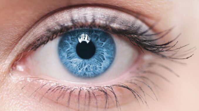 Worldcoin Launches World ID, an AI Resistant, Iris Dependent ID worldcoin iris ai world id