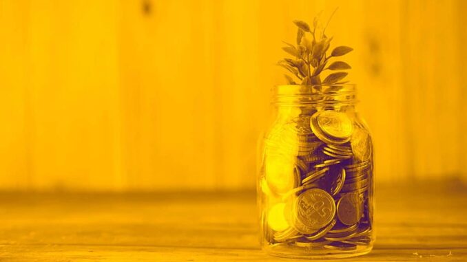 Diversification Doesn't Work? NFT Influencers That Made or Lost Money Diversification Doesn't Work? NFT Influencers That Made or Lost Money With Memecoins
