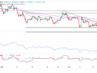 Why Bitcoin Whales Are Staying Calm Despite the SEC-Triggered Crypto Market Sell-off