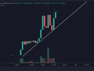 After BALD Price Erupts, Base Devs Also Rumored to be Behind HAIRY Coin, Up 8,000% in 4 Hours